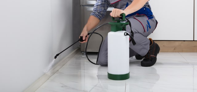 Exterminador de cinches en South Dakota